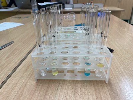 Naravoslovni-dan (1)