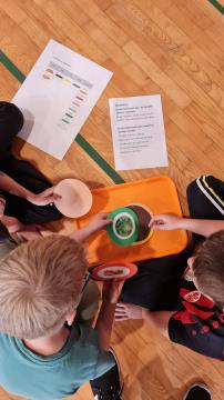 447242996_1043101327361184_154460638752140454_n